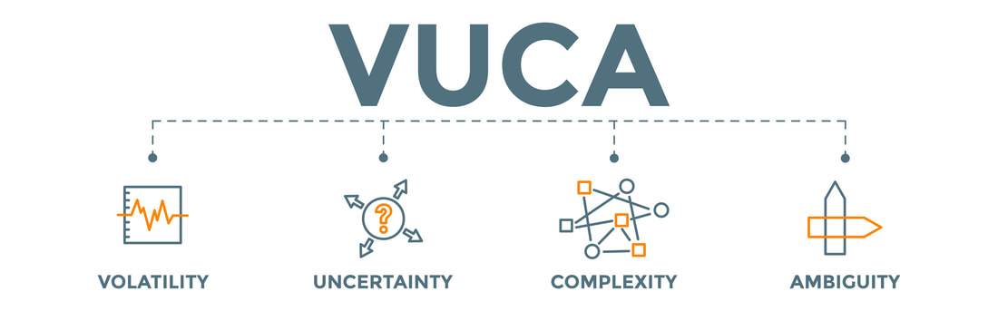 VUCA CEO's by Gestaldt